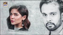 Habs Episode 29 - 22nd Nov 2022